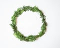 Round frame Twigs of green fresh evergreen spruce on a white background. Top view