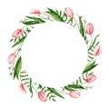 Round frame with watercolor pink tulips, genista, pistache branches. Hand drawn illustration is isolated on white. Wreath