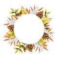 Round frame with watercolor sprigs, birch leaves, pine cone, acorn. Illustration isolated on white. Hand drawn autumn wreath Royalty Free Stock Photo