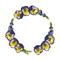 Round frame of watercolor violet pansies. Hand drawn illustration is isolated on white. Floral wreath