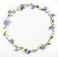 Round frame wreath made of spring wildflowers, lilac flowers and leaves isolated on white background. Flat lay. Royalty Free Stock Photo