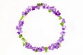 Round frame wreath made of spring wildflowers, lilac flowers and leaves isolated on white background. Top view. Flat lay Royalty Free Stock Photo