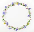 Round frame wreath made of spring wildflowers, lilac flowers, pink buds and leaves isolated on white background. Royalty Free Stock Photo