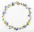 Round frame wreath made of spring wildflowers, lilac flowers, pink buds and leaves isolated on white background. Flat la Royalty Free Stock Photo