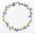 Round frame wreath made of spring wildflowers, lilac flowers, pink buds and leaves isolated on white background. Top view Royalty Free Stock Photo