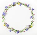 Round frame wreath made of spring wildflowers, lilac flowers, pink buds, leaves and snail shell isolated on white background. Royalty Free Stock Photo