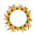 Round frame wreath of sunflowers and wheat in watercolor Royalty Free Stock Photo