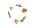 Round frame of yellow dry maple leaves and green oak leaves isolated on white background. Minimalistic autumn concept. Royalty Free Stock Photo