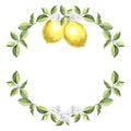 Round frame of yellow lemons with green leaves and white flowers Watercolor hand drawn illustration on white background Royalty Free Stock Photo