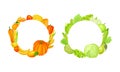 Round frames of orange and green fruit and vegetables with space for text vector illustration Royalty Free Stock Photo