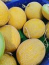 Round fresh yellow melon in the supermarket Royalty Free Stock Photo