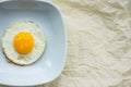 Round fried egg in the plate Royalty Free Stock Photo