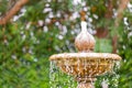 Round garden water fountain tiered Royalty Free Stock Photo