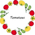 Round garland with yellow, red and green tomatoes. Royalty Free Stock Photo