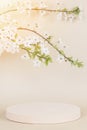 Round geometric podium platform stand for product presentation and blossoming spring tree branch with white flowers on