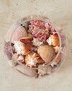 Round glass container, aquarium type, filled with shells and snails