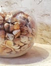 Round glass container, aquarium type, filled with shells and snails, used as an ornament