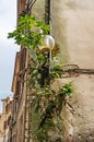 Round glass lantern lamp on a brick old wall covered with ivy on the corner of the house Royalty Free Stock Photo