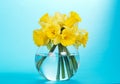 Round, glass vase with yellow narcissuses Royalty Free Stock Photo