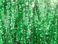 Round glitter green sequin