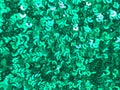 Round glitter green sequin