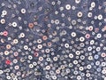 Round glitter silver sequin on blue lace fabric