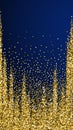 Round gold glitter luxury sparkling confetti. Scat Royalty Free Stock Photo