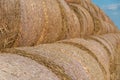 Round golden straw bales lie on the field after the grain harvest. A bale of hay close-up. The harvest season of grain crops Royalty Free Stock Photo