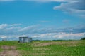 Round Grain Bins in a Canola Field, Saskatchewan, Canada. Royalty Free Stock Photo