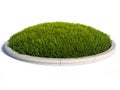 Round grass surface with concrete rim 3d rendering