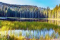 The round grassy lake in forest