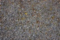 Round gravel stone photo for background. Small gray stone industrial texture. Gravel closeup Royalty Free Stock Photo