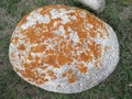 Round natural stone, with a surface covered with lichen Royalty Free Stock Photo