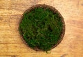 A Round Green Moss Digital Newborn Backdrop for Newborn Photographers Royalty Free Stock Photo