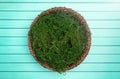 A Round Green Moss Digital Newborn Backdrop for Newborn Photographers Royalty Free Stock Photo