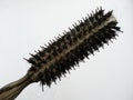 Round hairbrush with lost hair