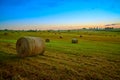 Round Hay Bails in a Field Royalty Free Stock Photo