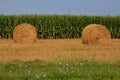 Round Hay Bails in Field