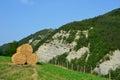 Round Hay Bails Royalty Free Stock Photo