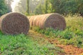 Round Hay Bails Royalty Free Stock Photo