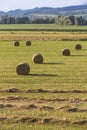 Round hay bale