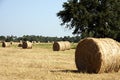Round Hay Bale in Field Royalty Free Stock Photo