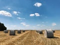 Round hay bale on a field. Collection of dry grass