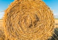 Round hay bale