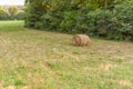 Round hay bale in a grass field Royalty Free Stock Photo