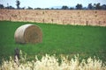 Round hay bale in a green field Royalty Free Stock Photo