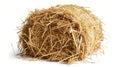 Round hay bale isolated on white background Royalty Free Stock Photo