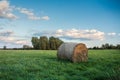 Round hay bale lying on a green meadow, copse and cloud in the sky Royalty Free Stock Photo