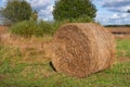 A round hay bale lying on a harvested stubble field. Rolled Straw stack on agrofarm field. Harvest season landscape Royalty Free Stock Photo
