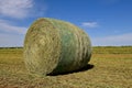 Round hay bale in an alfalfa field.